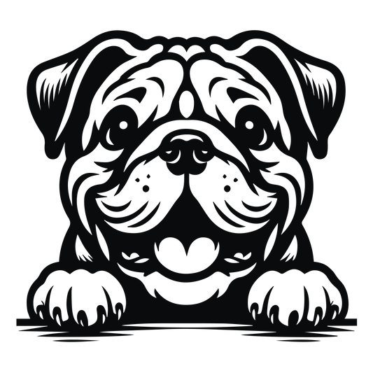 Englische Bulldogge Autoaufkleber #134