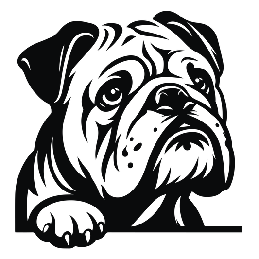 Englische Bulldogge Autoaufkleber #135
