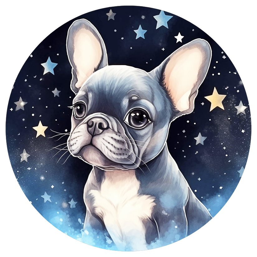 Französische Bulldogge Bügelbild Sterne #1