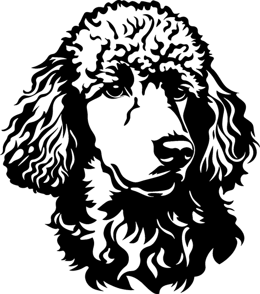 Pudel Autoaufkleber #6