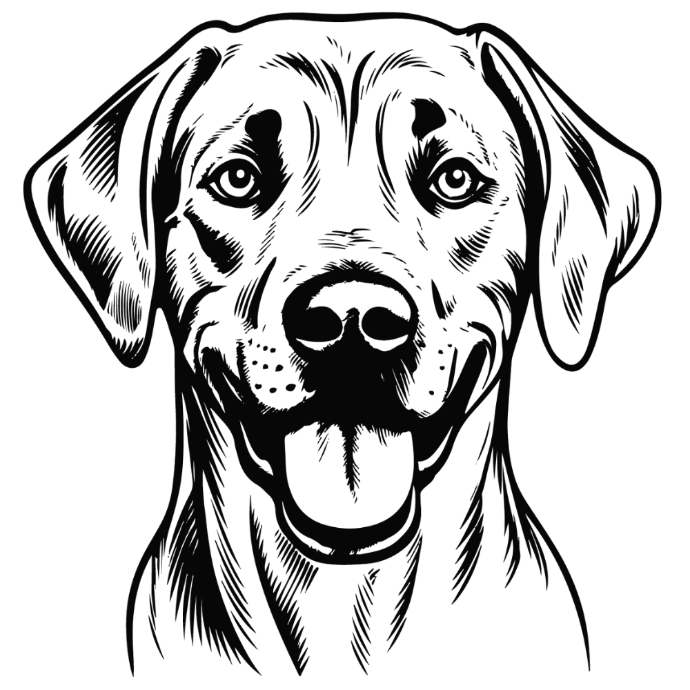 Rhodesian Ridgeback Autoaufkleber #2