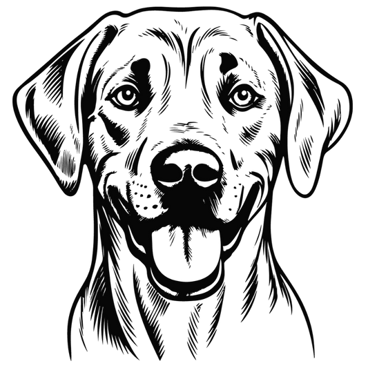 Rhodesian Ridgeback Autoaufkleber #2