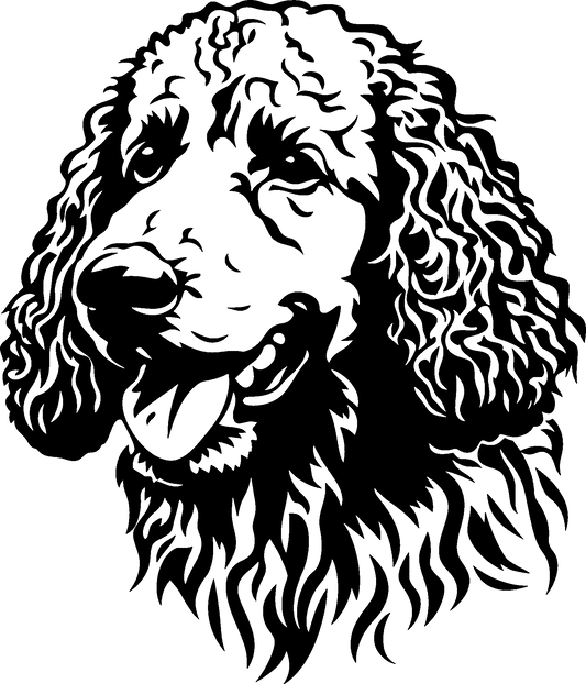 Pudel Autoaufkleber #7