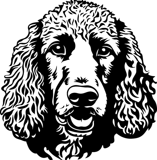 Pudel Autoaufkleber #8