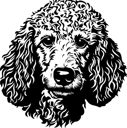 Pudel Autoaufkleber #9