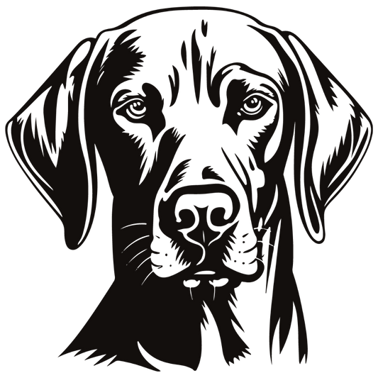 Weimaraner Autoaufkleber #2