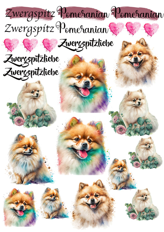 Zwergspitz Wasserschiebefolie / Kerzentattoos #5