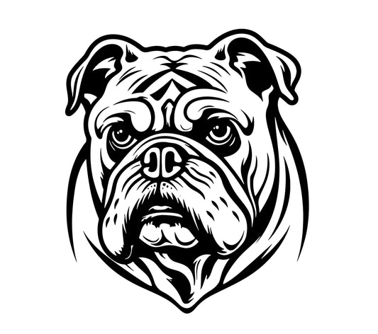 Englische Bulldogge Autoaufkleber #62