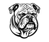 Englische Bulldogge Autoaufkleber #66