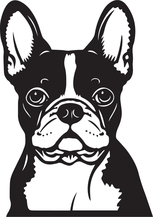 Französische Bulldogge Autoaufkleber #230