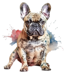 Französische Bulldogge Bügelbild Watercolor #3