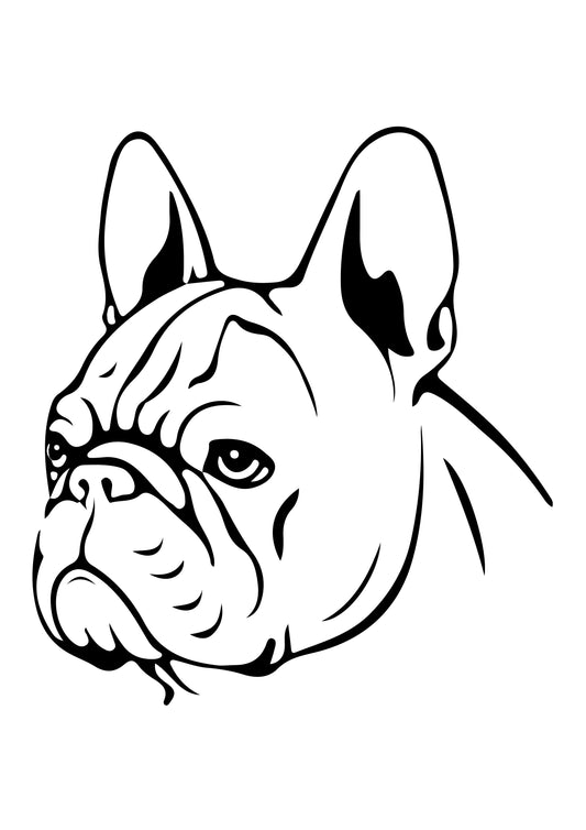 Französische Bulldogge Autoaufkleber #49