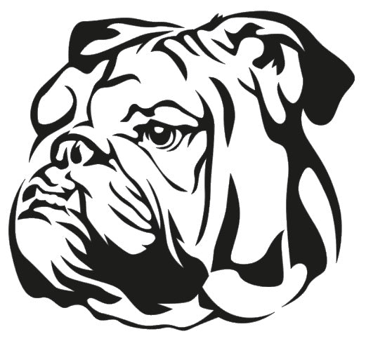 Englische Bulldogge Autoaufkleber #25