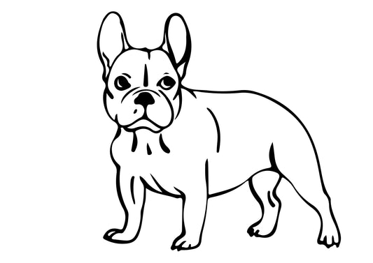 Französische Bulldogge Autoaufkleber #52