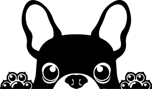 Französische Bulldogge Autoaufkleber #57