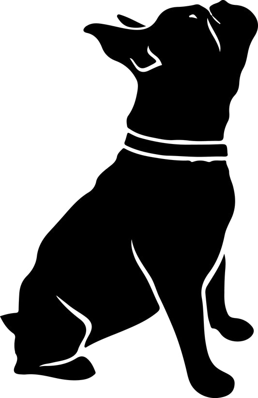 Französische Bulldogge Autoaufkleber #58