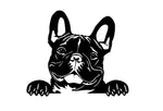 Französische Bulldogge Autoaufkleber #28