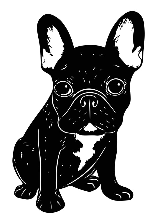 Französische Bulldogge Autoaufkleber #48
