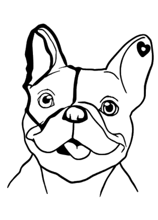 Französische Bulldogge Autoaufkleber #115