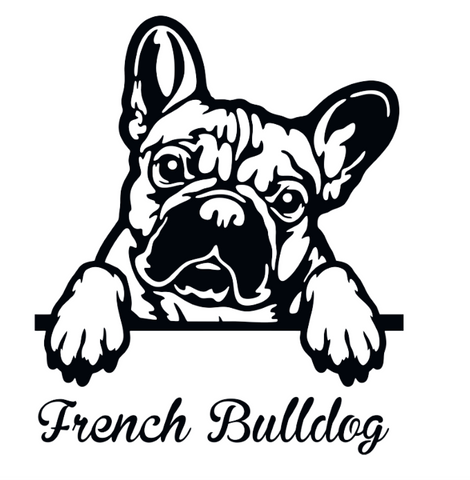Französische Bulldogge Autoaufkleber #122