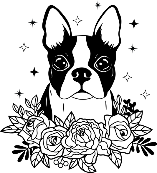 Boston Terrier Autoaufkleber #27