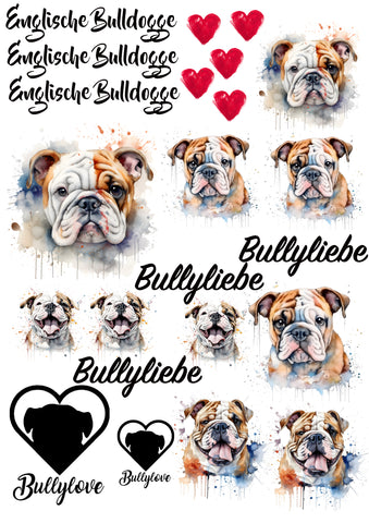Englische Bulldogge Wasserschiebefolie / Kerzentattoos