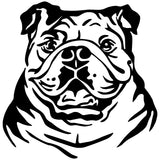 Englische Bulldogge Autoaufkleber #10