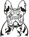 Französische Bulldogge Autoaufkleber #104