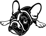 Französische Bulldogge Autoaufkleber #153