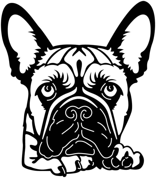 Französische Bulldogge Autoaufkleber #156