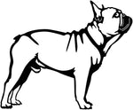 Französische Bulldogge Autoaufkleber #176