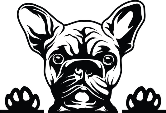 Französische Bulldogge Autoaufkleber #331