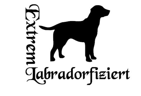 Labrador Autoaufkleber #1