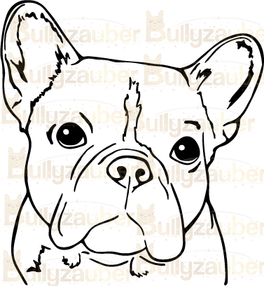 Französische Bulldogge Autoaufkleber #3