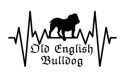 Old English Bulldog Autoaufkleber #1