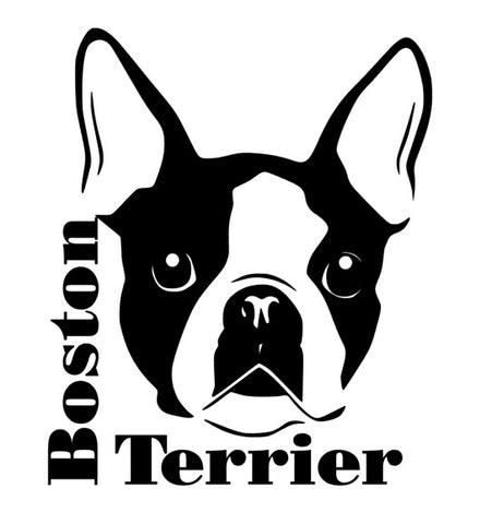 Boston Terrier Autoaufkleber #2