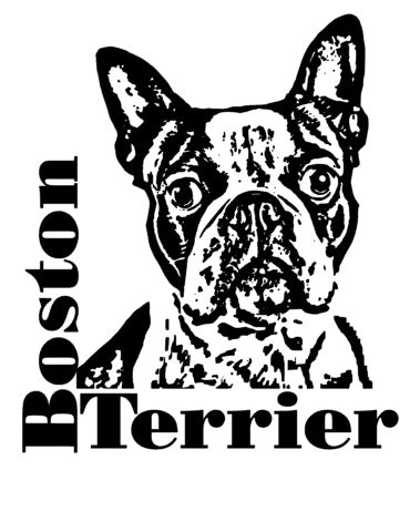 Boston Terrier Autoaufkleber #3