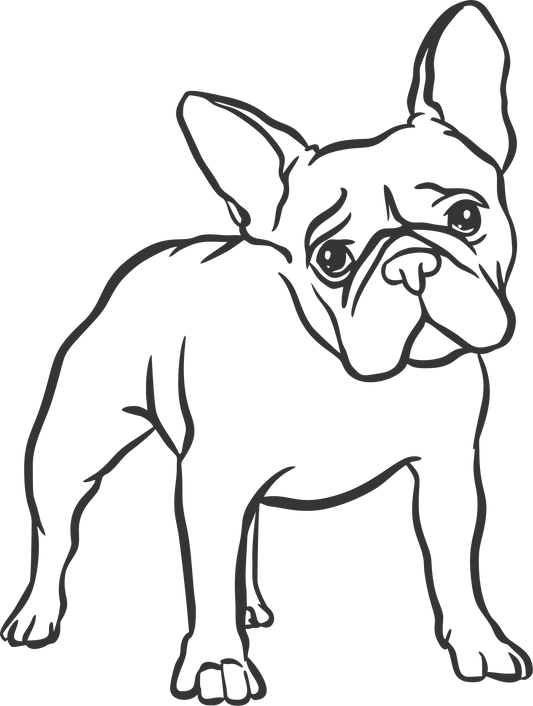 Französische Bulldogge Autoaufkleber #130