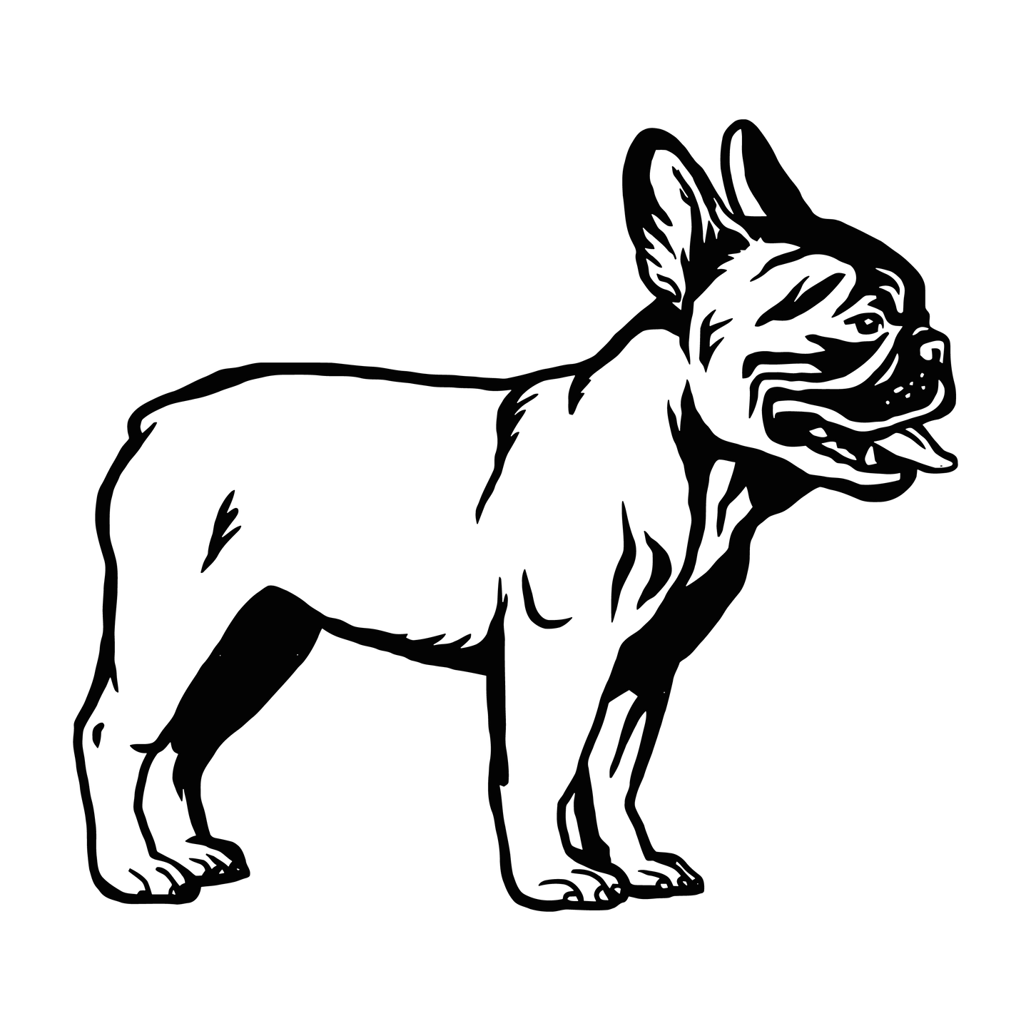 Französische Bulldogge Autoaufkleber #123