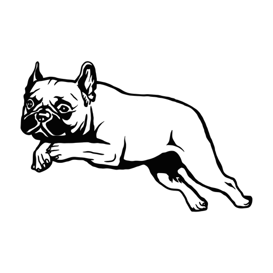 Französische Bulldogge Autoaufkleber #124