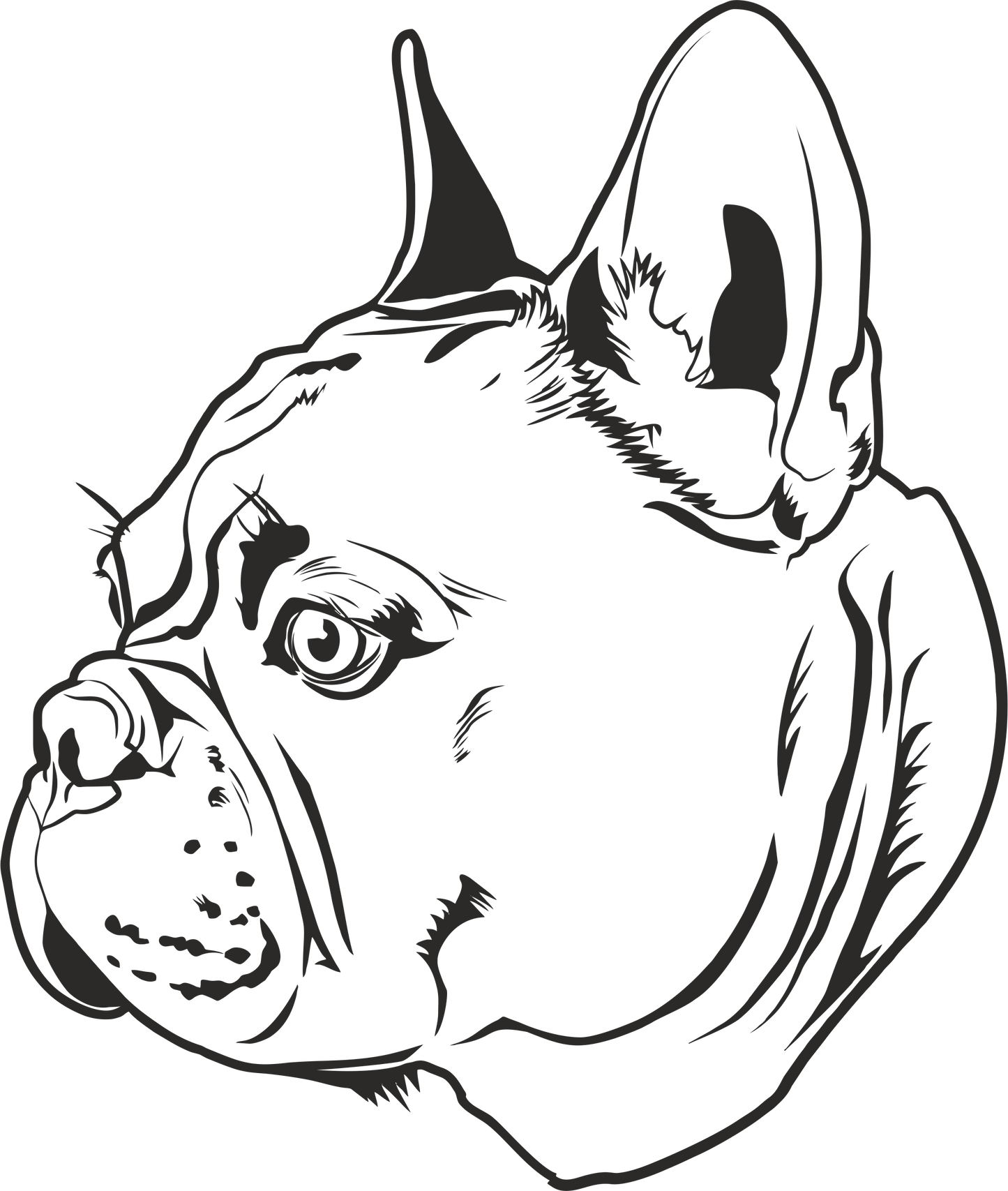 Französische Bulldogge Autoaufkleber #192