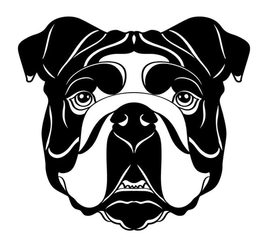Englische Bulldogge Autoaufkleber #37
