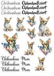 Chihuahua Wasserschiebefolie / Kerzentattoos