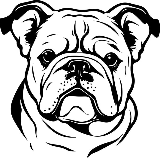Englische Bulldogge Autoaufkleber #55