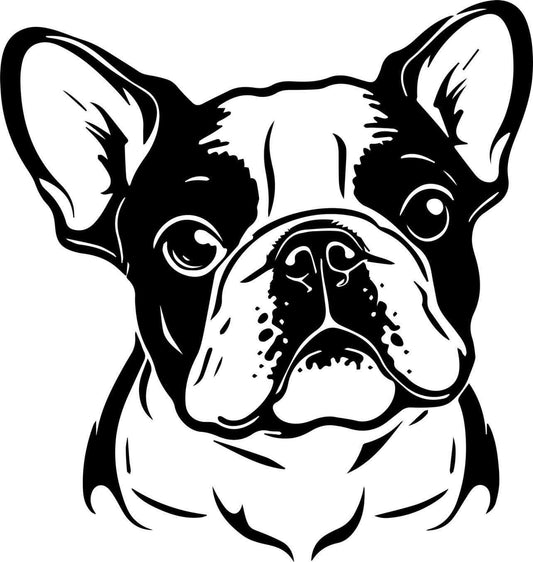 Französische Bulldogge Autoaufkleber #217