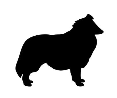 COLLIE Silhouette Autoaufkleber