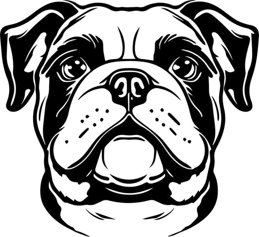 Englische Bulldogge Autoaufkleber #51