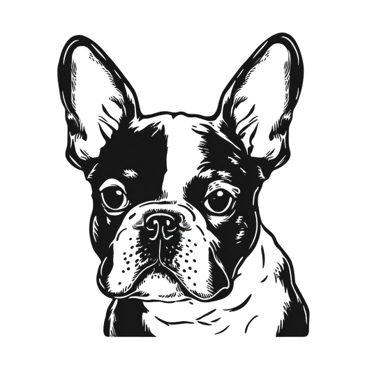 Französische Bulldogge Autoaufkleber #222