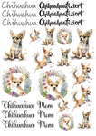 Chihuahua Wasserschiebefolie / Kerzentattoos #2