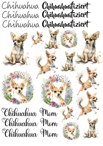Chihuahua Wasserschiebefolie / Kerzentattoos